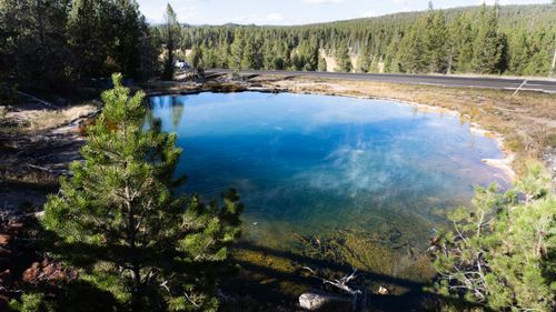 Free A beautiful, clear hot spring surrounded by lush forest and a road in Yellowstone National Park. Stock Photo