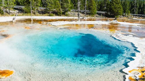 Free A stunning turquoise hot spring in Yellowstone with mineral deposits and forest backdrop. Stock Photo
