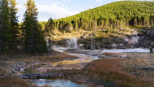 Free A beautiful geothermal feature in Yellowstone National Park with vibrant foliage and clear skies. Stock Photo