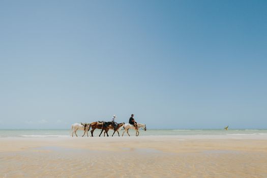 Peaceful horseback riding on Canoa Quebrada beach, showcasing serene ocean views and clear skies.