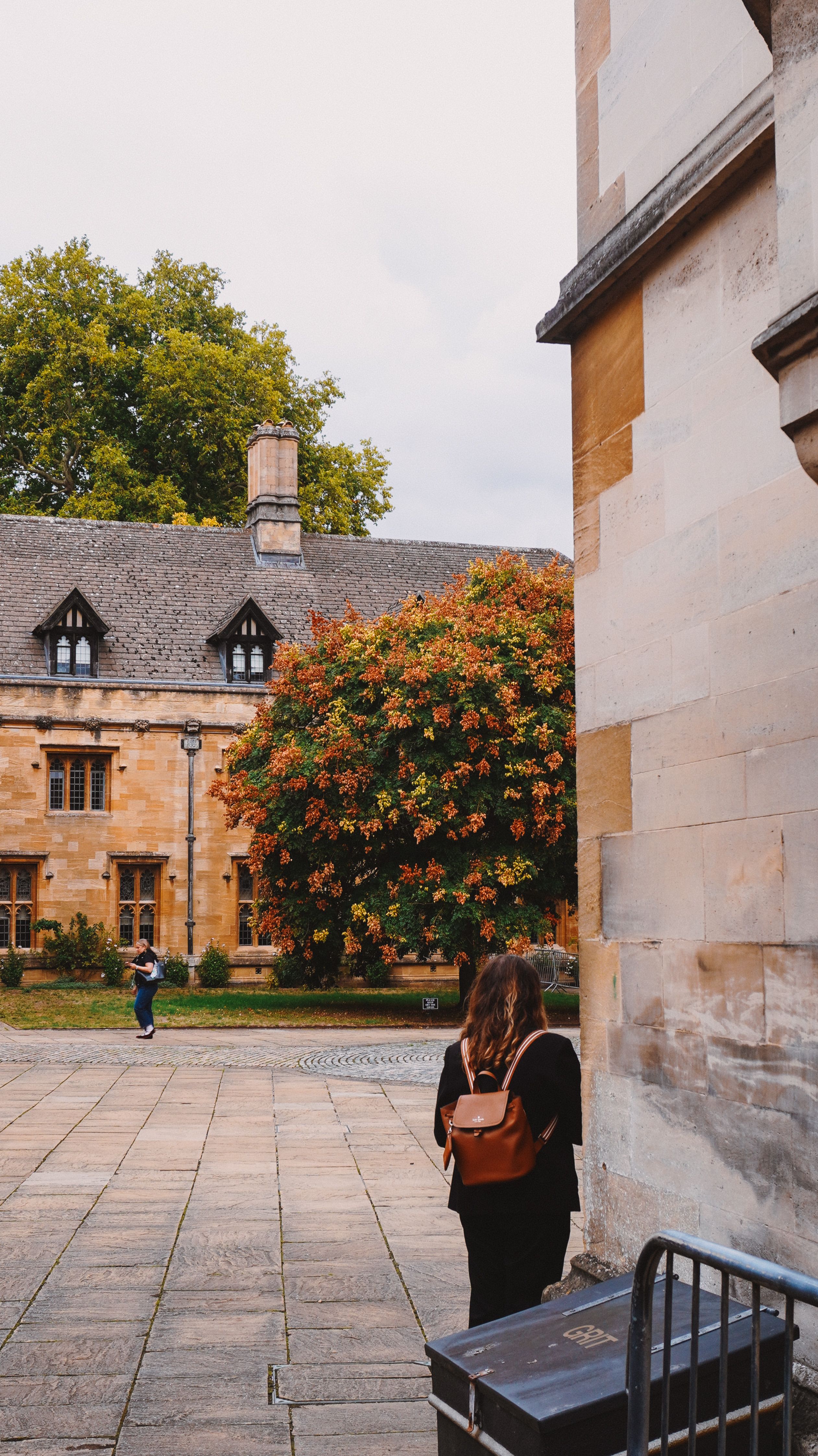 Basic English Usage [Oxford]