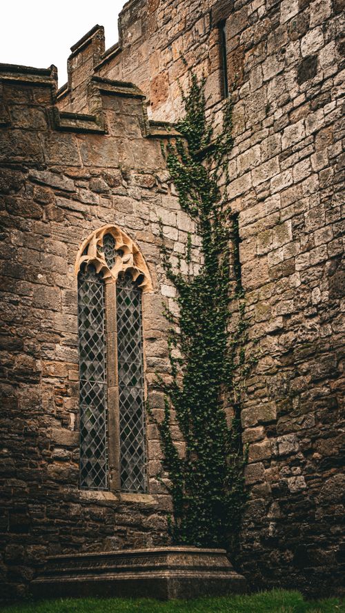 Free Historical stone wall with Gothic arched window and ivy, perfect for medieval architecture themes. Stock Photo