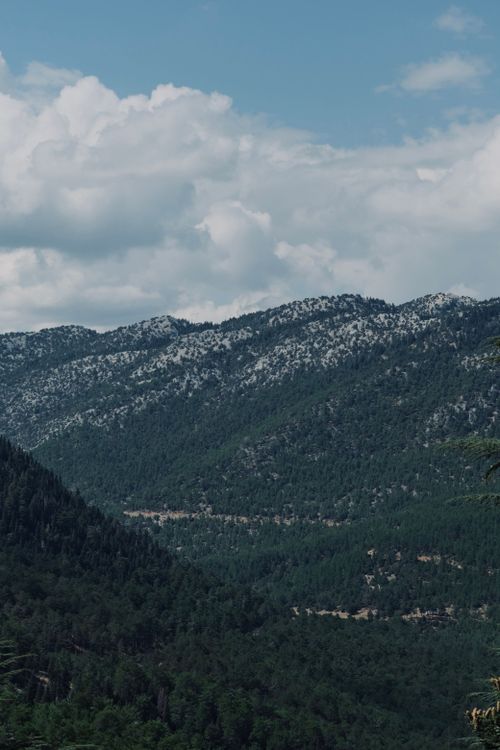 Free A breathtaking view of a forested mountain range under a cloud-filled sky. Stock Photo