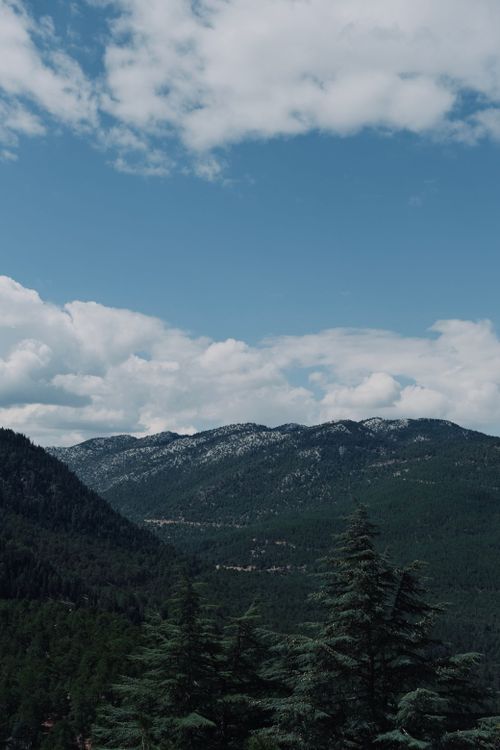 Free Breathtaking view of mountain range with lush pine forest under clear blue sky and clouds. Stock Photo