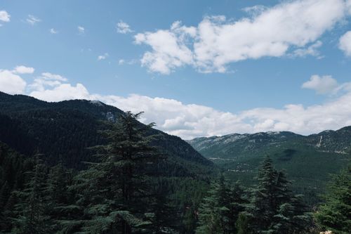 Free Breathtaking mountain landscape with dense forest under a clear blue sky. Stock Photo