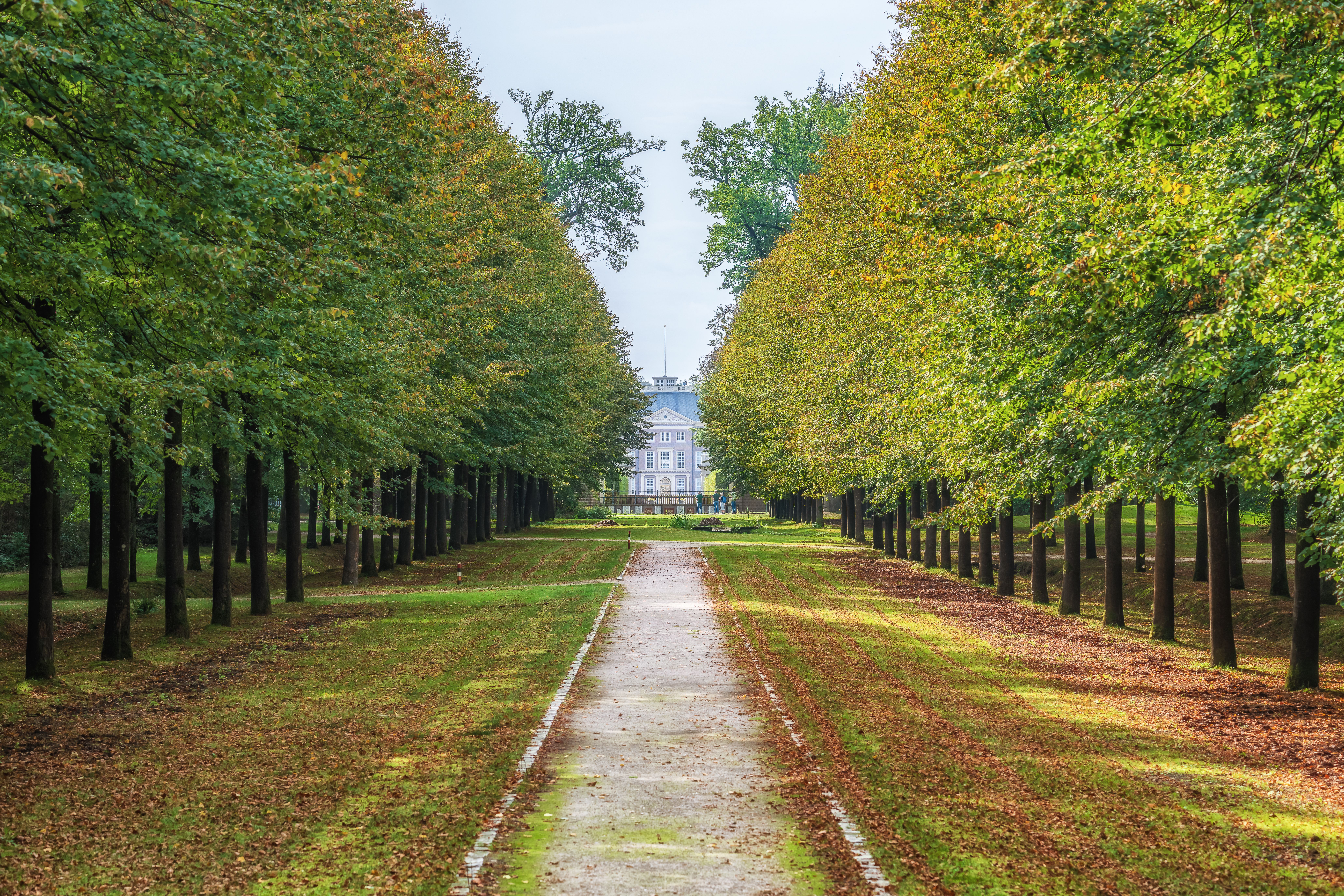 Serene pathway lined with lush trees leading to Het Loo Palace, Apeldoorn, during late summer.