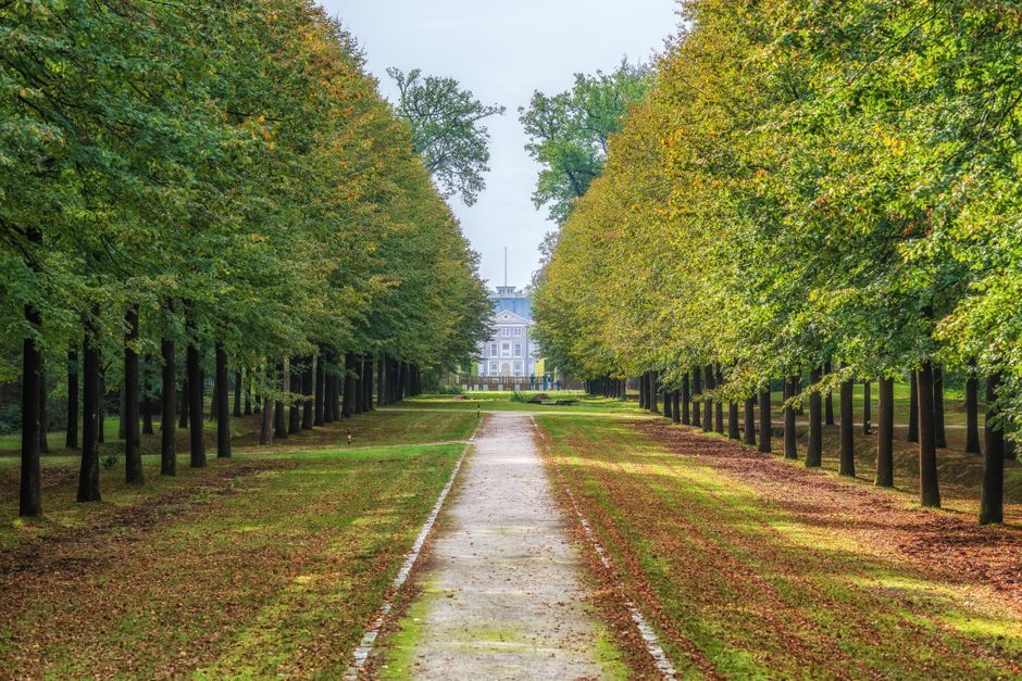 Serene pathway lined with lush trees leading to Het Loo Palace, Apeldoorn, during late summer.