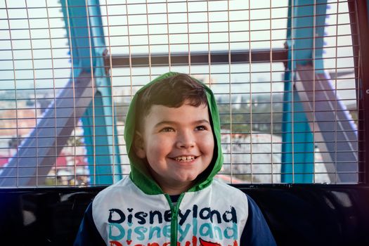 Joyful child enjoying a ride at an amusement park with a captivating smile.