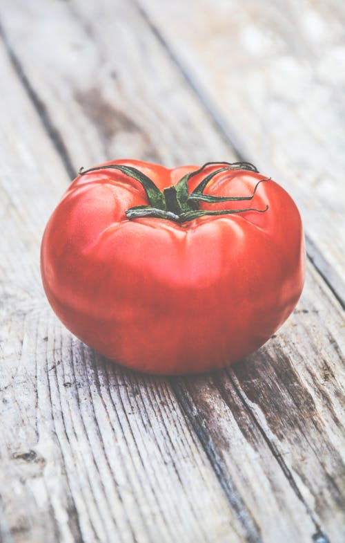 Free Tomate Stock Photo