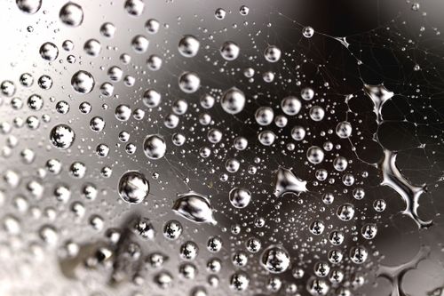 Free Macro image of water droplets on a spider web, showcasing intricate details and reflections. Stock Photo