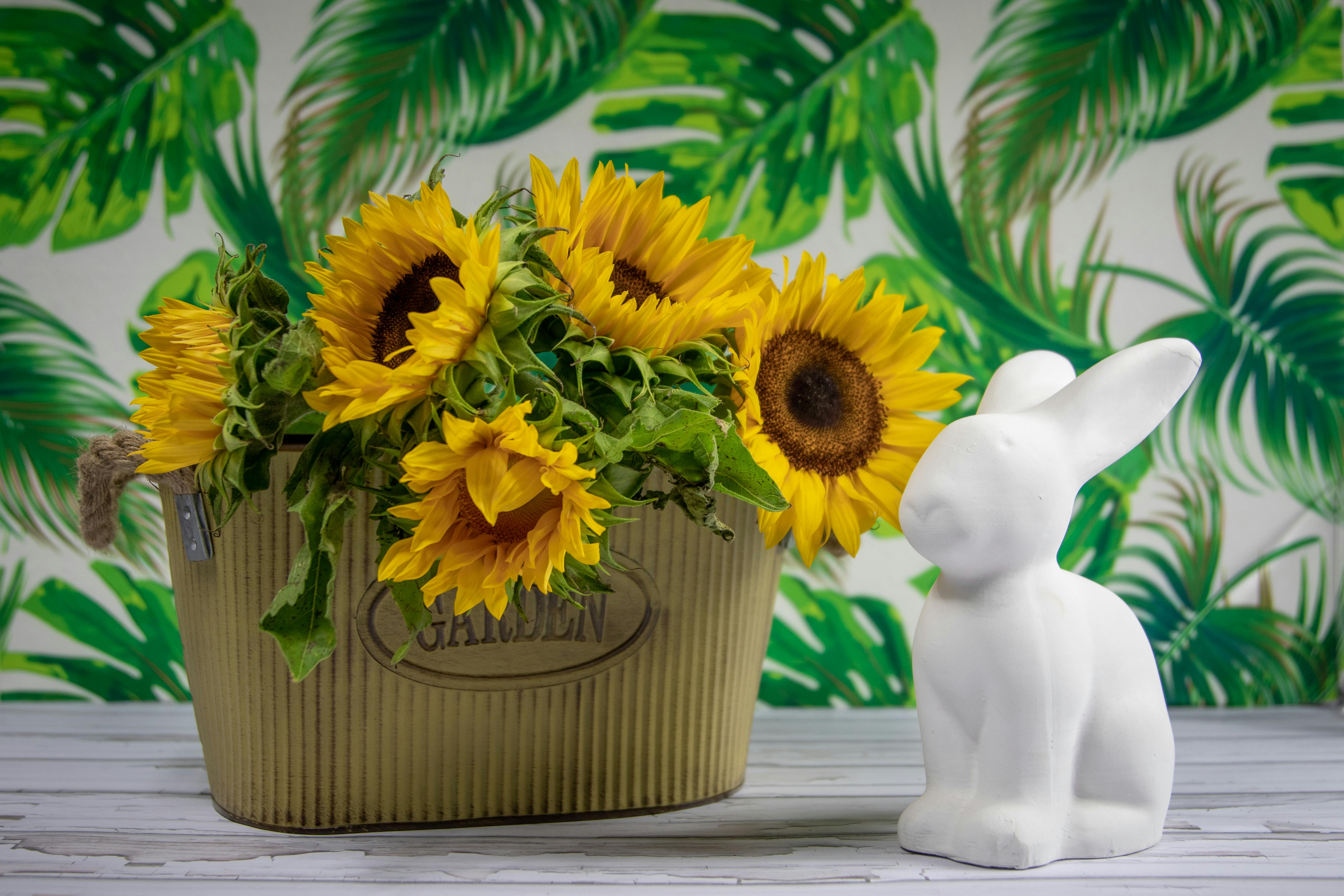 yellow sunflower in yellow ceramic vase beside white rabbit figurine