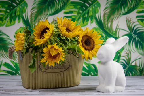 Free Lively sunflowers in a rustic container beside a white ceramic rabbit against a tropical leaf backdrop. Stock Photo
