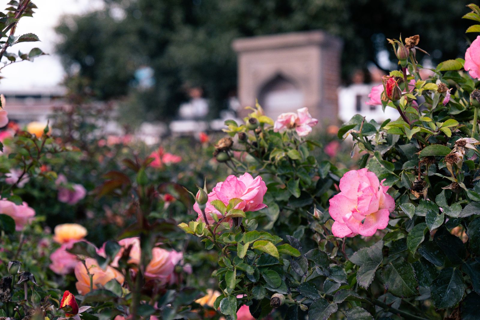 The garden paths stay open year-round, offering a quiet walk even on days when the adjacent zoo charges admission.