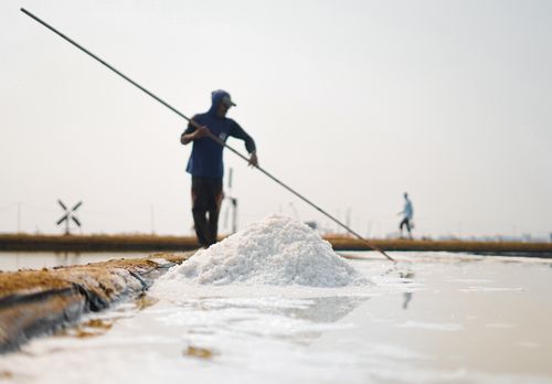 Free A salt farmer harvesting salt in a traditional salt field, highlighting rural agricultural practices. Stock Photo