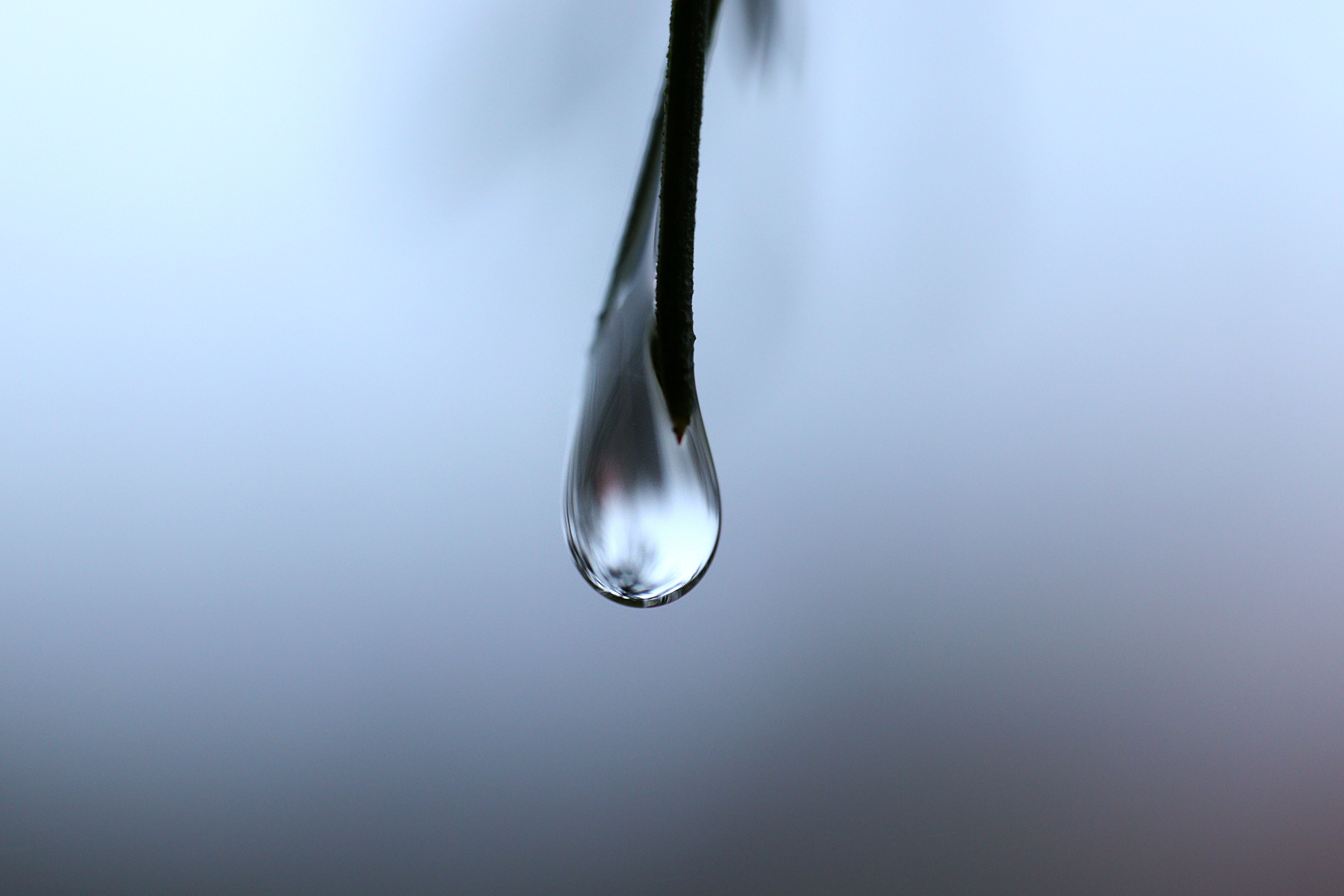 Close-up image of a water droplet hanging from a twig with a soft blurred background.
