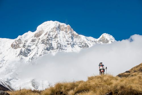 Free Adventurous hiker in scenic Himalayas with snow-capped Annapurna background. Stock Photo