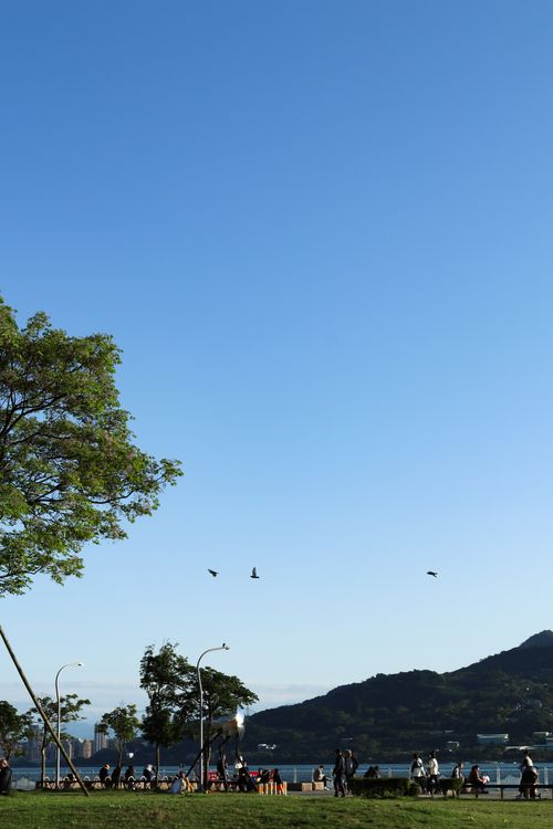 Free Beautiful park by the water with clear blue sky and birds flying. Perfect for relaxation or a stroll. Stock Photo