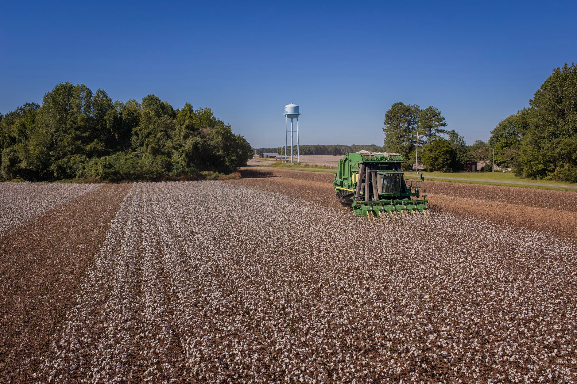 A green harvester works across a vast cotton field under a clear blue sky in North Carolina.