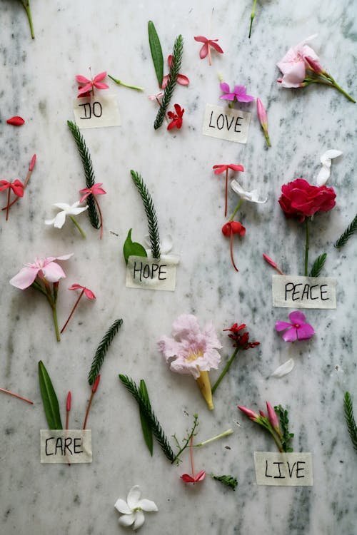 Top view of creative arrangement of various fresh flowers and plants placed on marble table