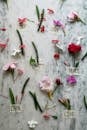 Top view of creative arrangement of various fresh flowers and plants placed on marble table