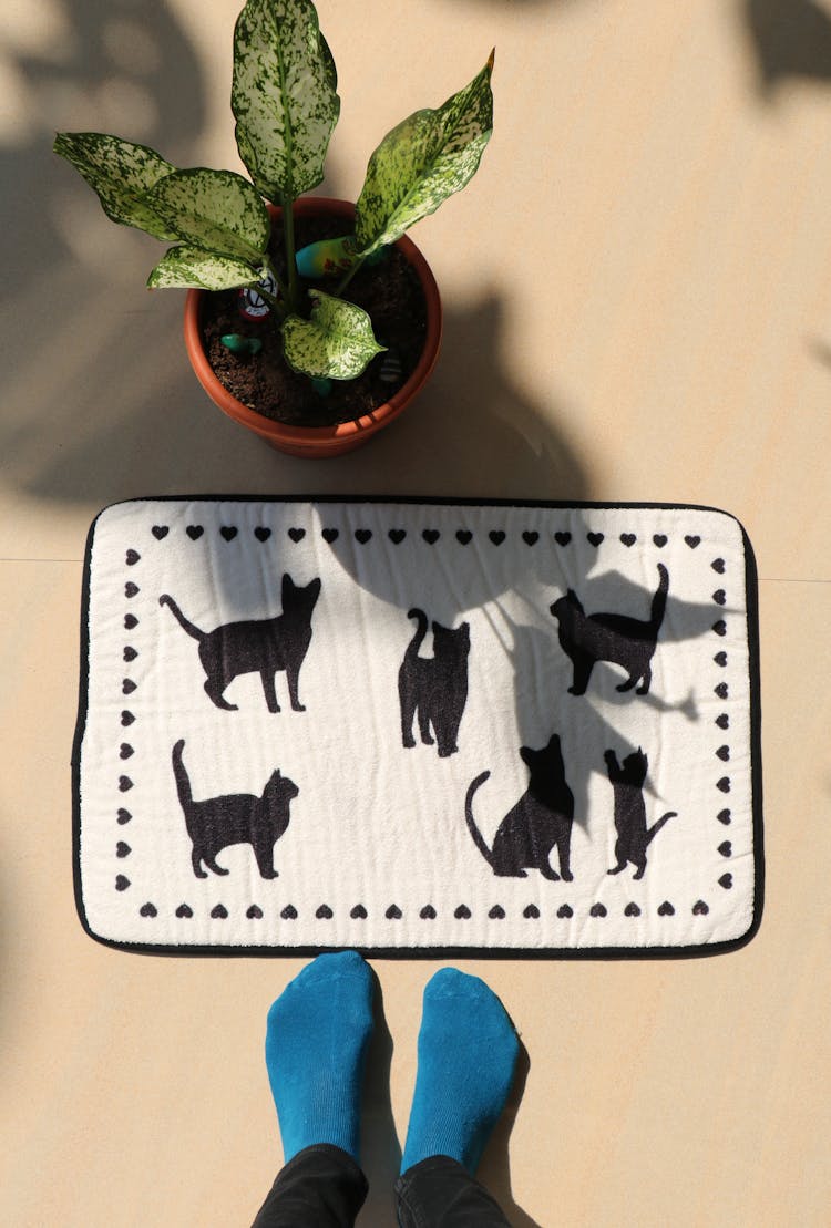 Crop Person Standing Near Door Mat And Houseplant On Sunny Day