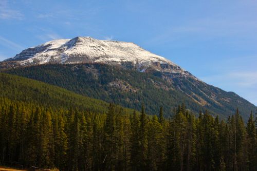 Free Scenic view of a snow-covered mountain peak and lush evergreen forests at Lake Louise, Alberta. Stock Photo