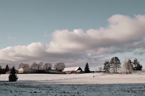 冬季, 天性, 天空 的 免費圖庫相片