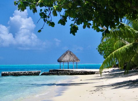 Serene tropical beach scene featuring a thatched hut and clear turquoise waters.