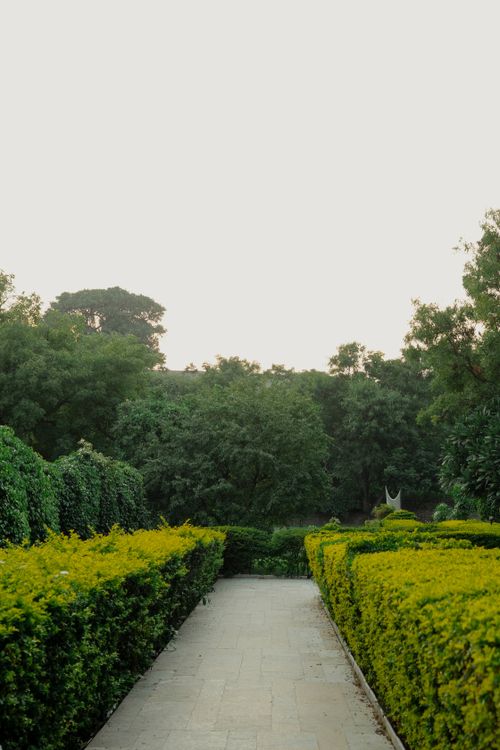 Free A serene garden pathway surrounded by lush greenery at dawn, capturing the peaceful beauty of nature. Stock Photo