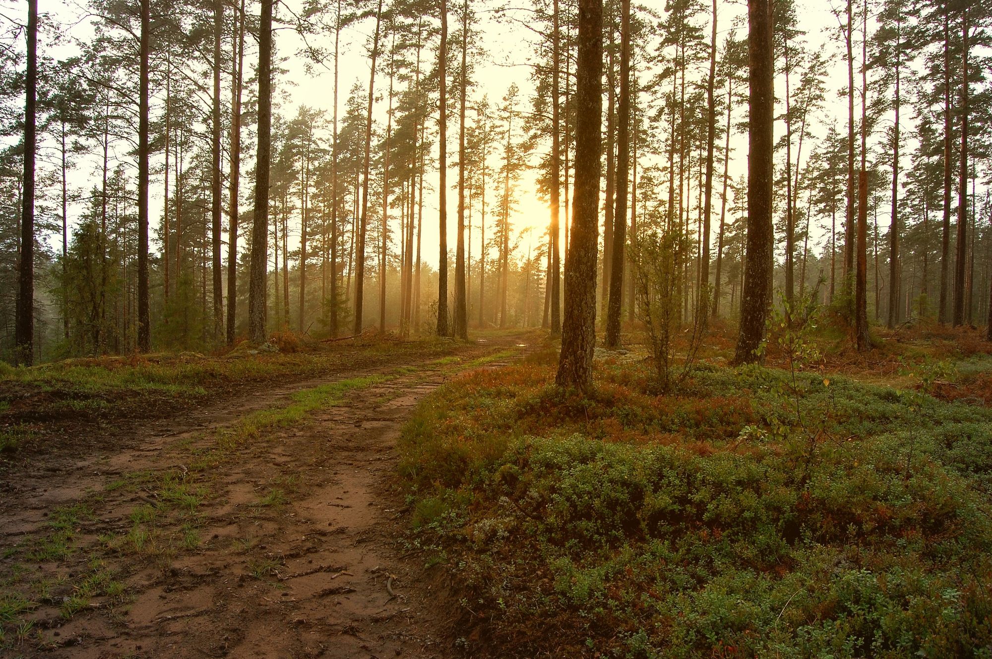 Norrtälje