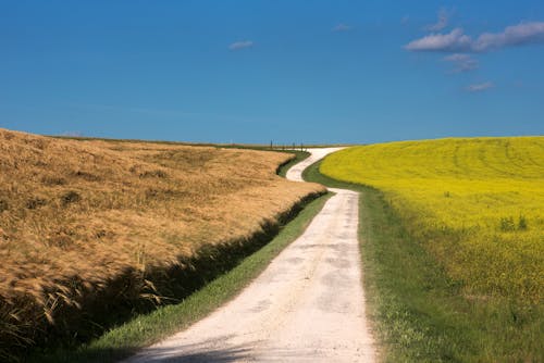 Gratis lagerfoto af landevej, landskab, sommertid