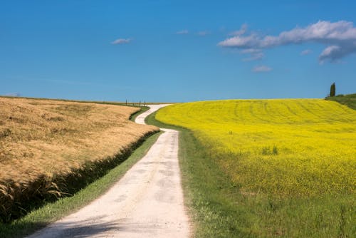 Gratis lagerfoto af coutryside, landevej, landskab