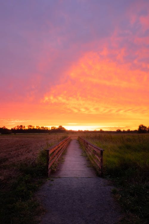 Brown Wooden Pathway Between Green Grass Field during Sunset