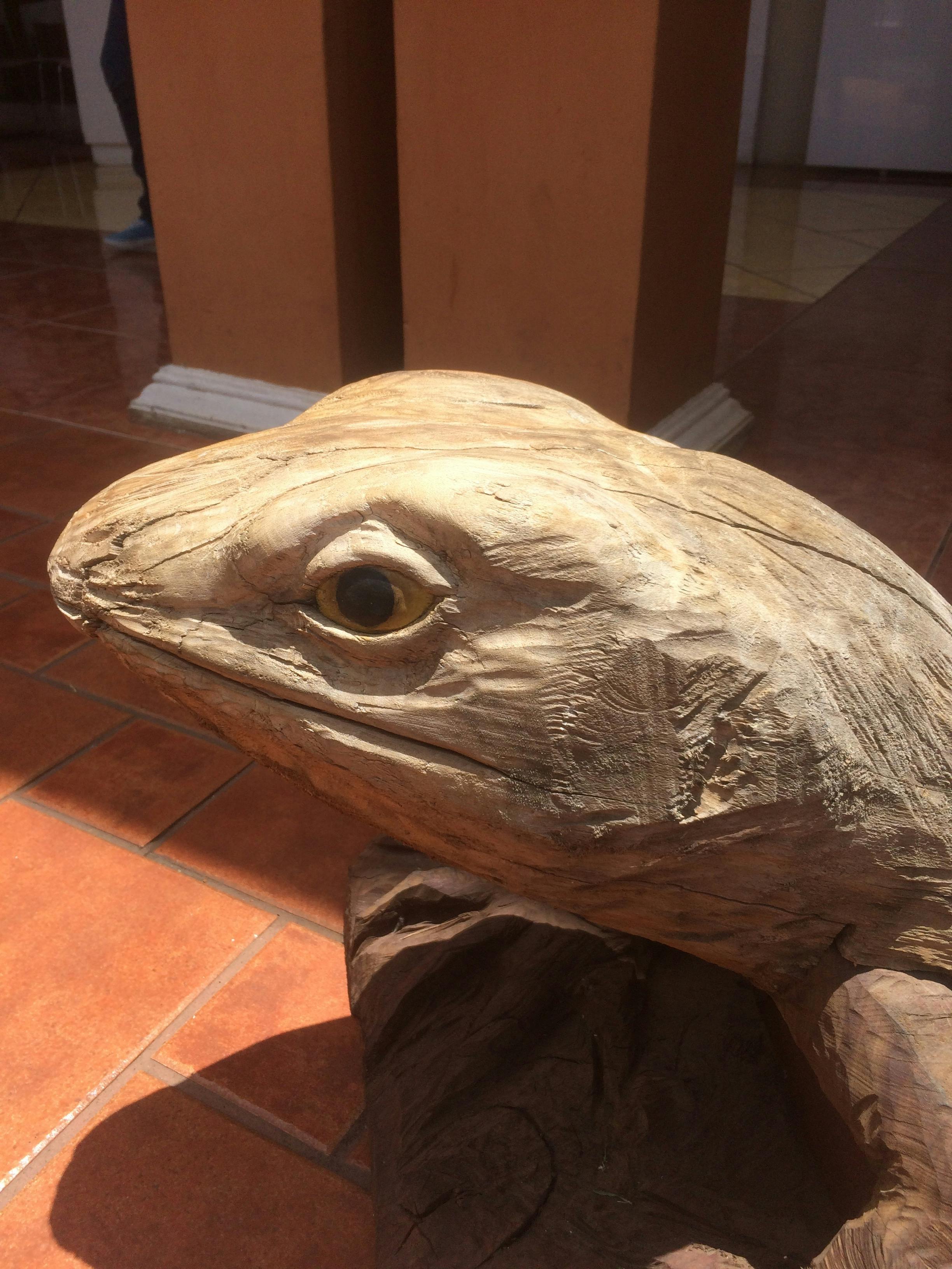 스마트폰과 삼각대로 촬영하는 모습