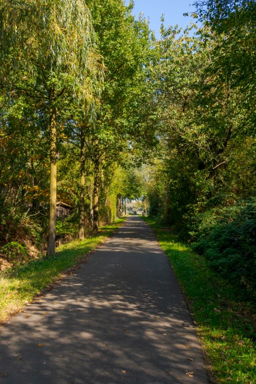 Free A tranquil outdoor pathway surrounded by lush green trees in Coesfeld, Germany, on a sunny day. Stock Photo