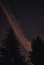 宁静的户外夜空中，星星照亮了树木的轮廓