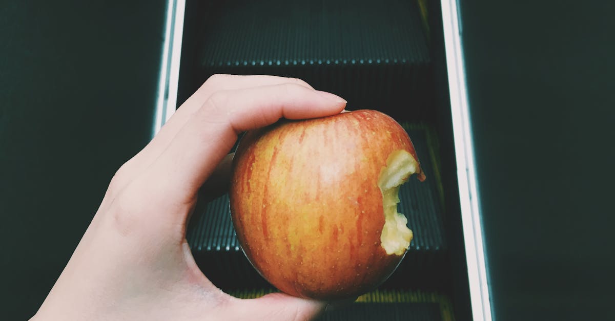 Free stock photo of apple, food, lifestyle