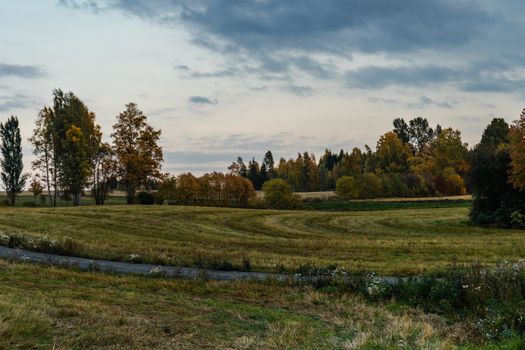 Serene landscape of a Norwegian field with autumn foliage and a cloudy sky at dusk.