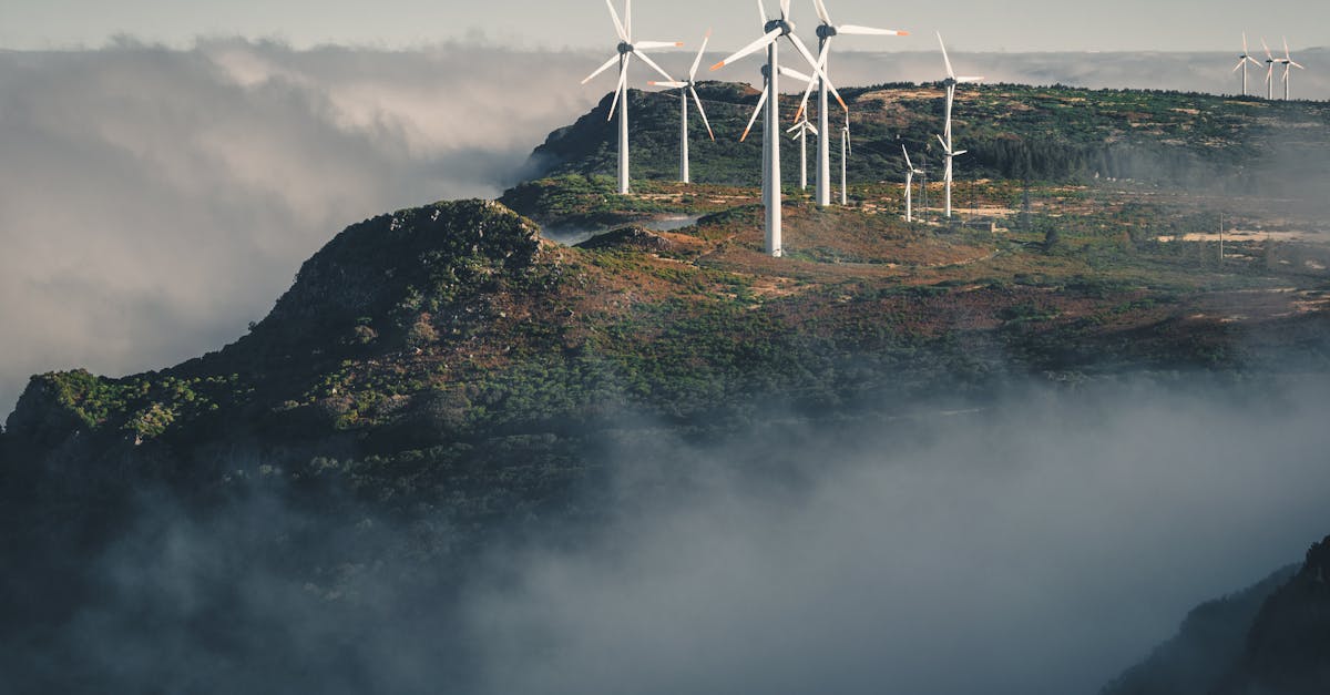 澎湖縣115年節能治理行動啟動,為什麼生活節電如此重要?