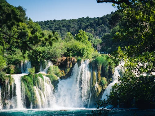 Cascate Nel Mezzo Di Alberi Verdi