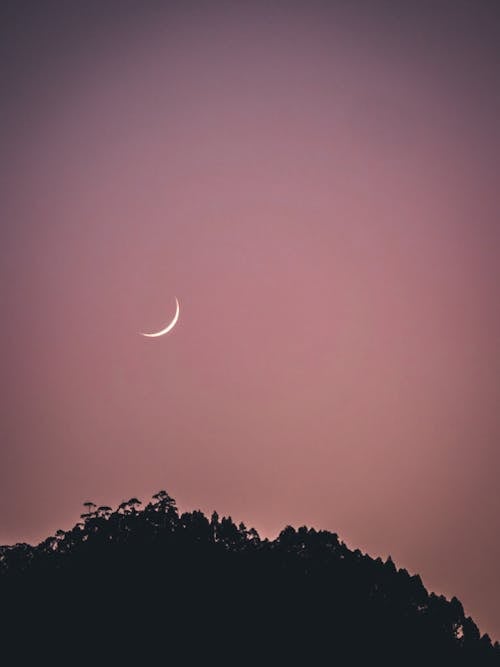 Free stock photo of atmospheric evening, crescent moon, evening sky