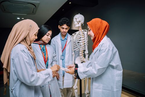 Free Group of South Asian medical students studying anatomy with a skeleton in a classroom setting. Stock Photo