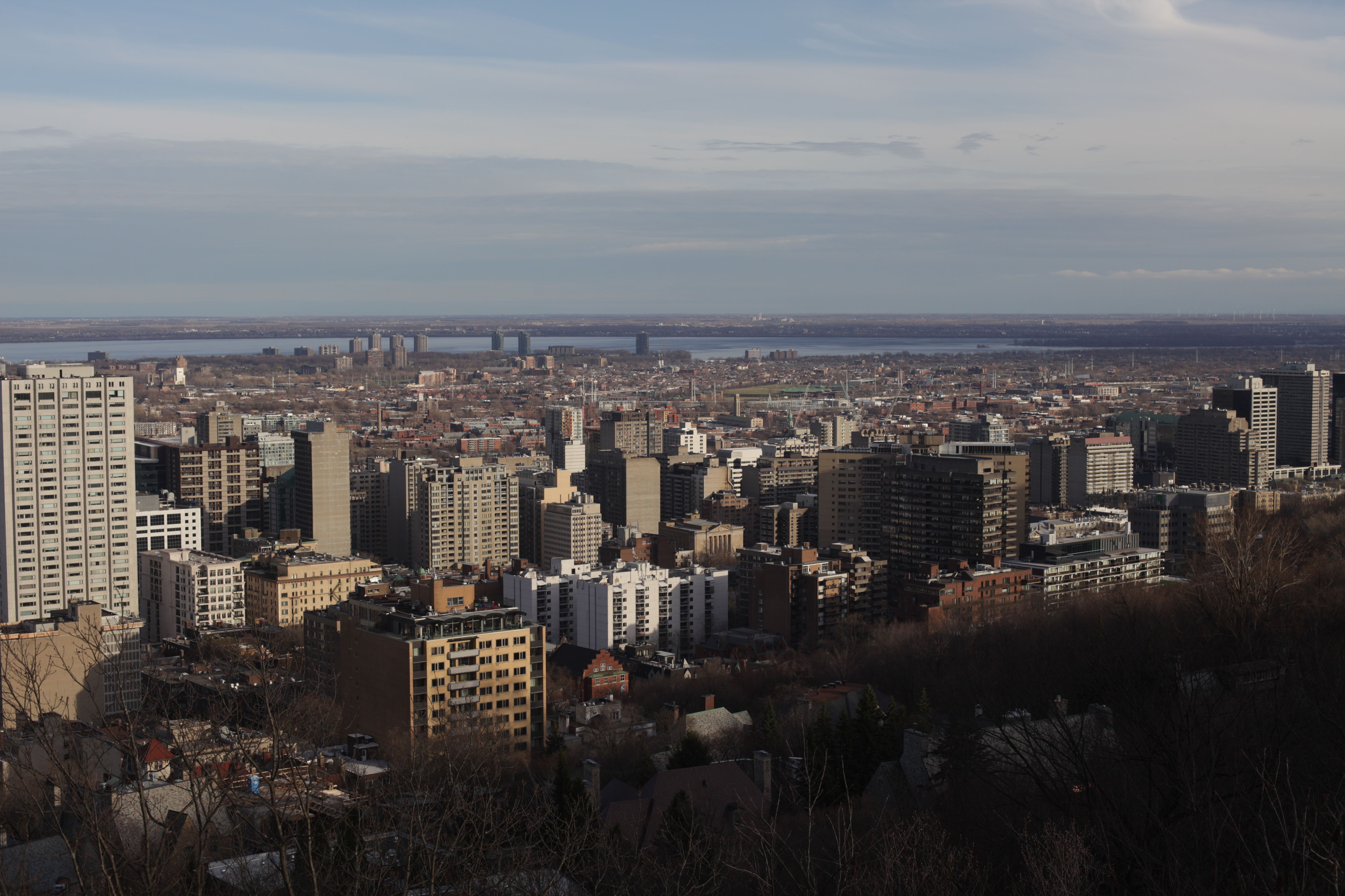A panoramic view of downtown Montreal's skyline from Mount Royal during the day.