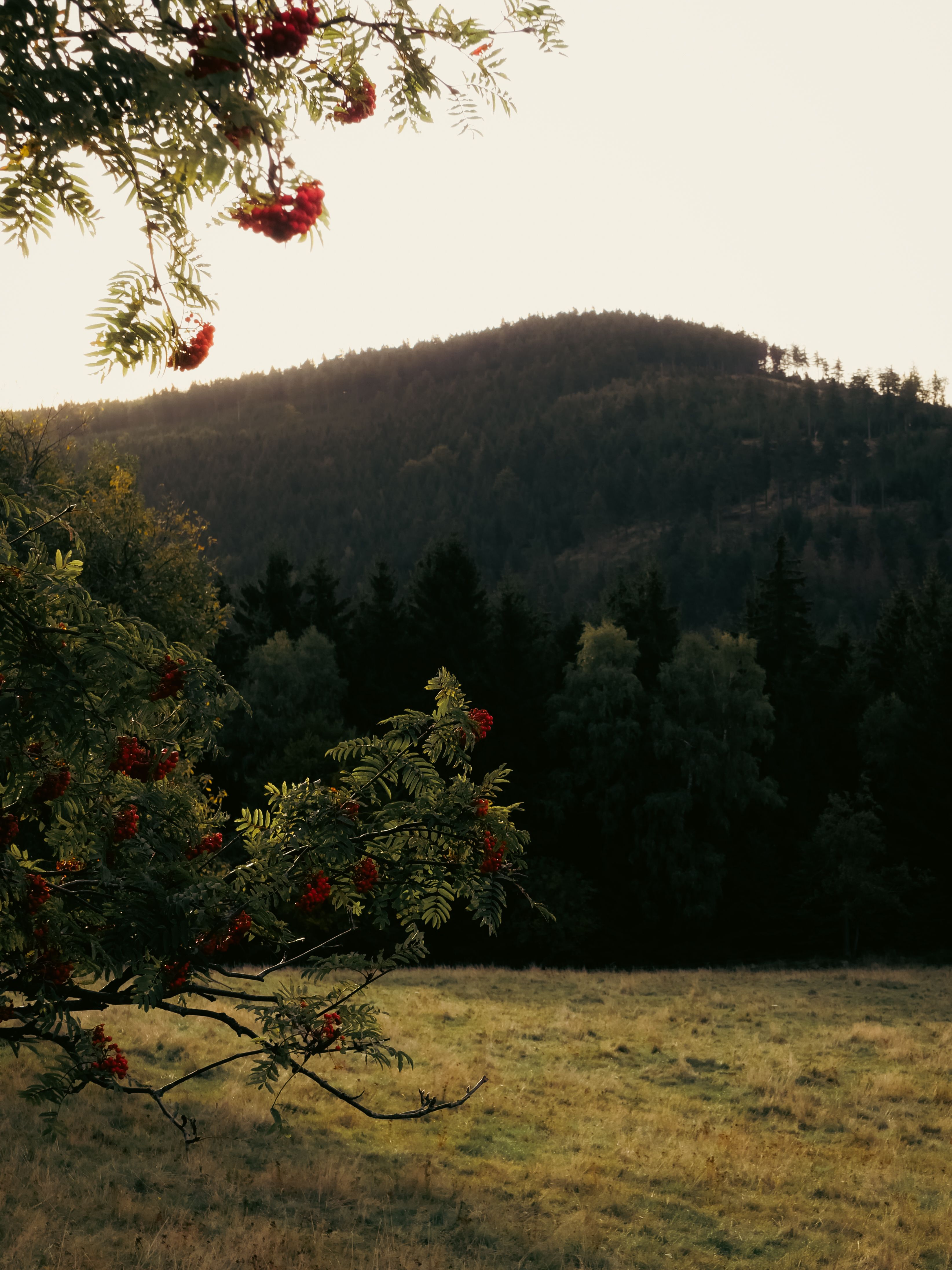 Scenic Mountain Landscape in Lower Silesia, Poland · Free Stock Photo