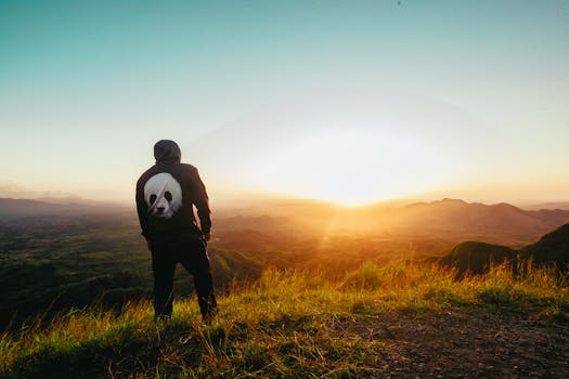 A person in a panda hoodie stands on a mountain peak, enjoying a breathtaking sunrise.