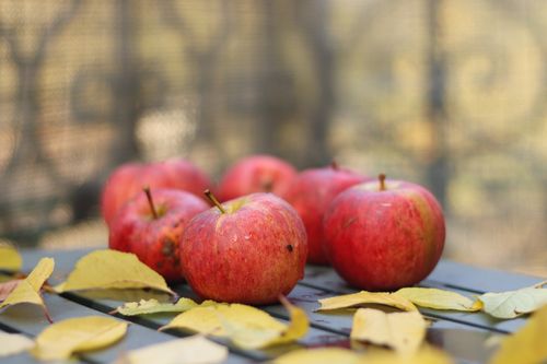 Free A close-up of red apples on a table with yellow autumn leaves, evoking a rustic fall ambiance. Stock Photo