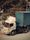 cargo truck