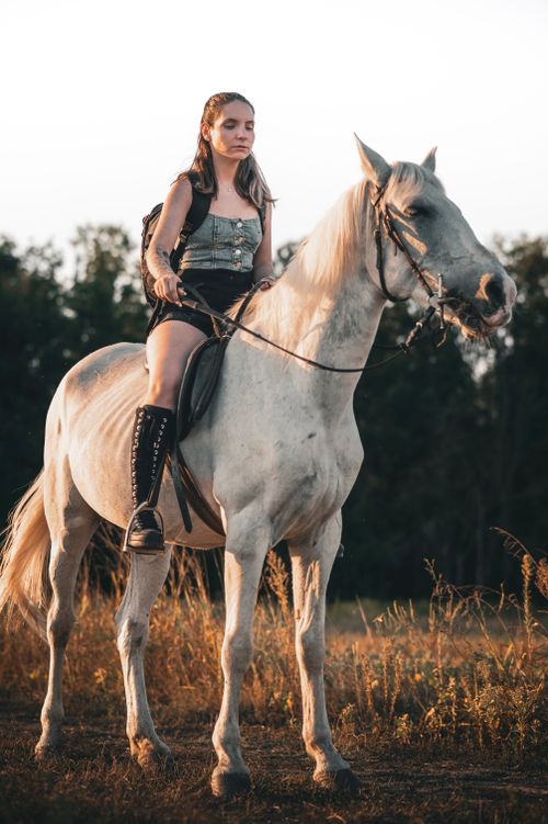 Free A woman dressed in a corset riding a white horse in an open field during sunset. Stock Photo
