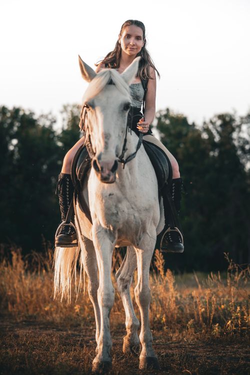 Free Woman on a white horse in a field during golden hour, evoking freedom and adventure. Stock Photo
