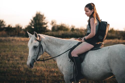 Free A young woman rides a white horse in a serene countryside setting at dusk. Stock Photo